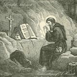 The Forest is Foreboding...