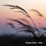 Through the Digital Fog