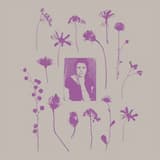 La manzana está en el árbol