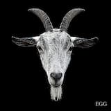 Have I Joined a Cult?