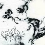 Night Falls and Bestows Insect Fixation