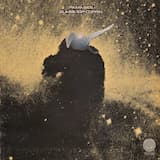 Golden Landing (Part Two)