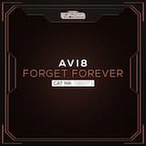 Forget Forever Radio Edit)