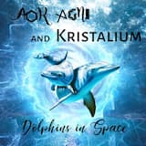 Dolphins in Space