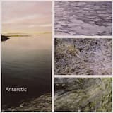 Your Ships Are Googlin' Pretty Hard