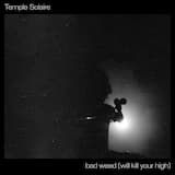 Bad Weed (Will Kill Your High)