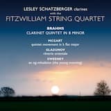 Clarinet Quintet in B minor, op. 115: I. Allegro