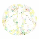 ンスタント ゼロ イン ザ ユニバース - instant 0 in the universe -