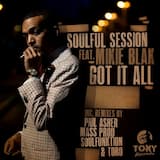 Got It All (Soulfunktion Deep Summer vocal Vibe)