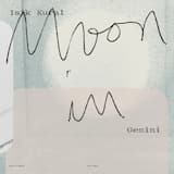 Mistaken for a Snow Silent