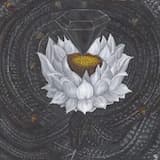 Dismal Anahata Transmissions