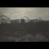 Leonardo’s Aerial Screw