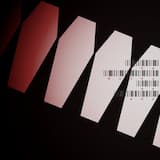 Skull With a Sunroof