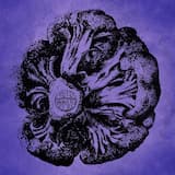 Poutrasse à Carpentras