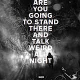 Absolutely Everything All the Time