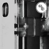 A Roneador Talking to His Cousins