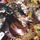 Penguins on Dizengoff