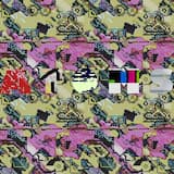 ᴥᴥ⨀⧭⨀ᴥᴥ