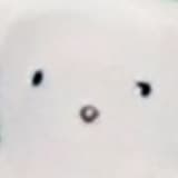 Walking Through The River