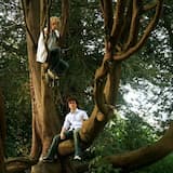 Where's Alvin Flummox?