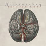 Entering the Sublevels of Necroplex