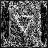 On the Wings of Drought