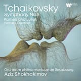 Symphony No. 5 in E Minor, Op. 64: I. Andante - Allegro con anima