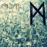 Wenn Krähen kreisen würden