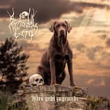 Wie Insekten in Bernstein