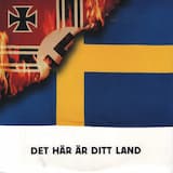 Det här är ditt land