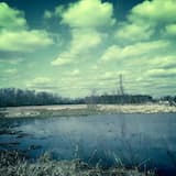 A Window of Perception