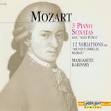 Sonata for Piano no. 11 in A major, K. 300i/331 "Alla Turca": III. Rondo alla Turca. Allegretto
