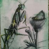 A Slave Boy That Died an Awful Death for Not Keeping His Owner's Horses. He Helps People Who Are Looking for Lost Things.