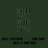 Your Body (DLFA 12 Inch mix)