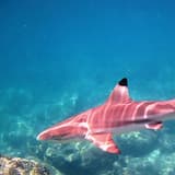 Losing Everything You Had, Finding Everything You Need