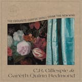 The Bowed Apparition Sounds the Feadóg Stáin