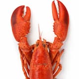 セックス中毒は音中毒