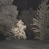 松は最後まで続く