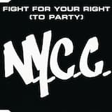 Fight for Your Right (single version)