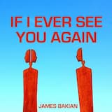 If I Ever See You Again