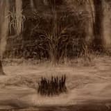 Mystical Bonfires Inside the Dark Womb