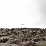 The Mutiny of All Your Gestures