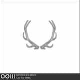 WINTER SOLSTICE XXI-XII-MMXI