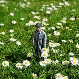 Watch the Flowers Grow