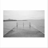 Poisonous Reptilian Colleagues & Co