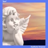 Aesthetic Dreamer