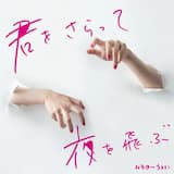 君をさらって夜を飛ぶ