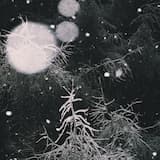 Never Again Will They Hunger