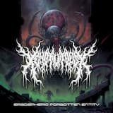 Ergospheric Forgotten Entity