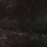 Can't feel like this